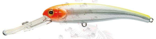 Воблер P21 SHAD MARAUDER 125F DR #T008