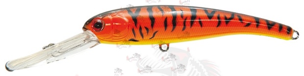 Воблер P21 SHAD MARAUDER 125F DR #T002