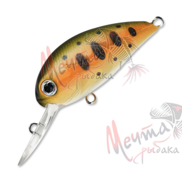 Воблер P21 HYPNOSE 38F-MDR #R02