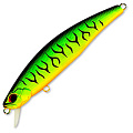 TIDE MINNOW