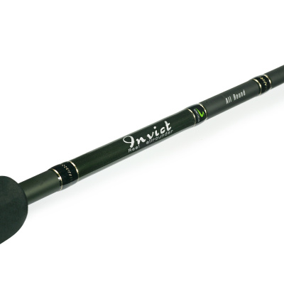Спиннинг NORSTREAM Invict 862MH #10-38g